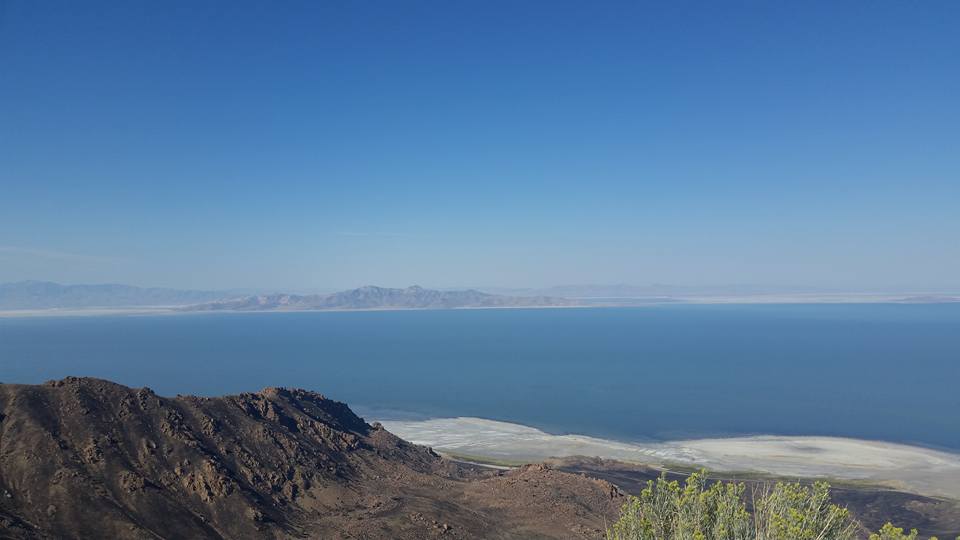 14079925_1242124419152047_6024114829171504463_n