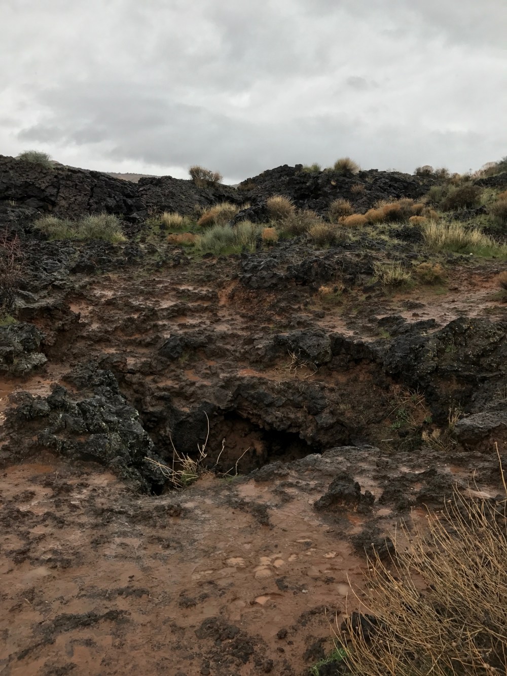 c3b0e89b-7165-40dd-8afa-db14a8ccd083